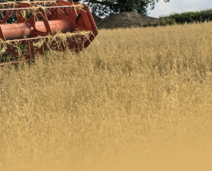 -Field-to-clamp-silage-in-County-Sligo-CM-11-2011