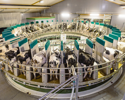 -Gea-Farm-Technologies-DairyProQ-LSTK-10-2015