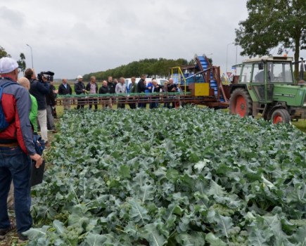 Poles-develop-semi-mechanical-broccoli-harvester-4782808_0