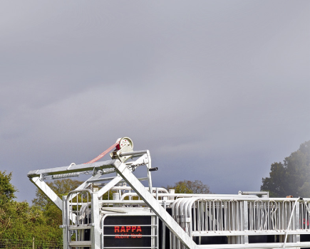 -Sheep-handling-equipment-LSTK-10-2013