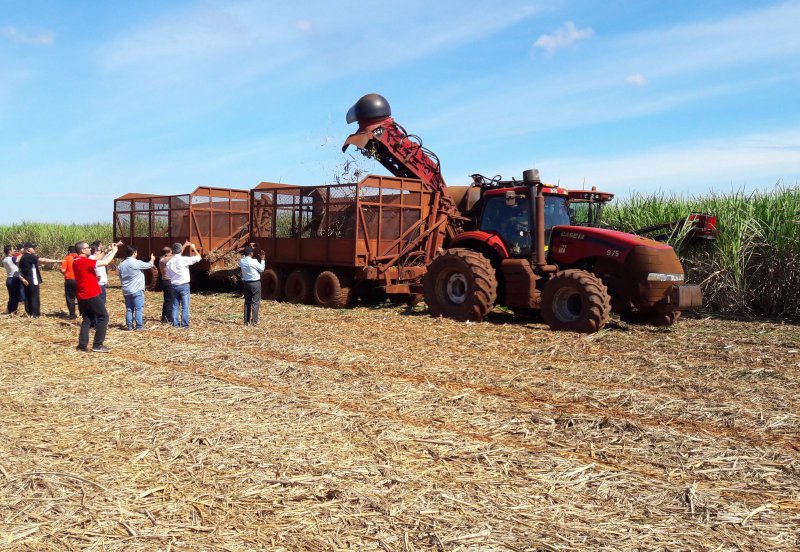 Sweet-tour-of-Brazil-s-sugar-cane-sector-8309659_0