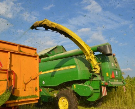 Three-in-one-John-Deere-hemp-combine-6589528_0