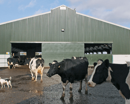 -Ventilation-in-livestock-buildings-LSTK-2-2011