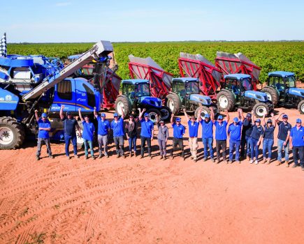 New Holland grape harvester 3