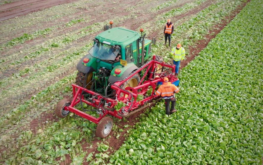 50820_ids-agri-epicentre-lettuce-aerial