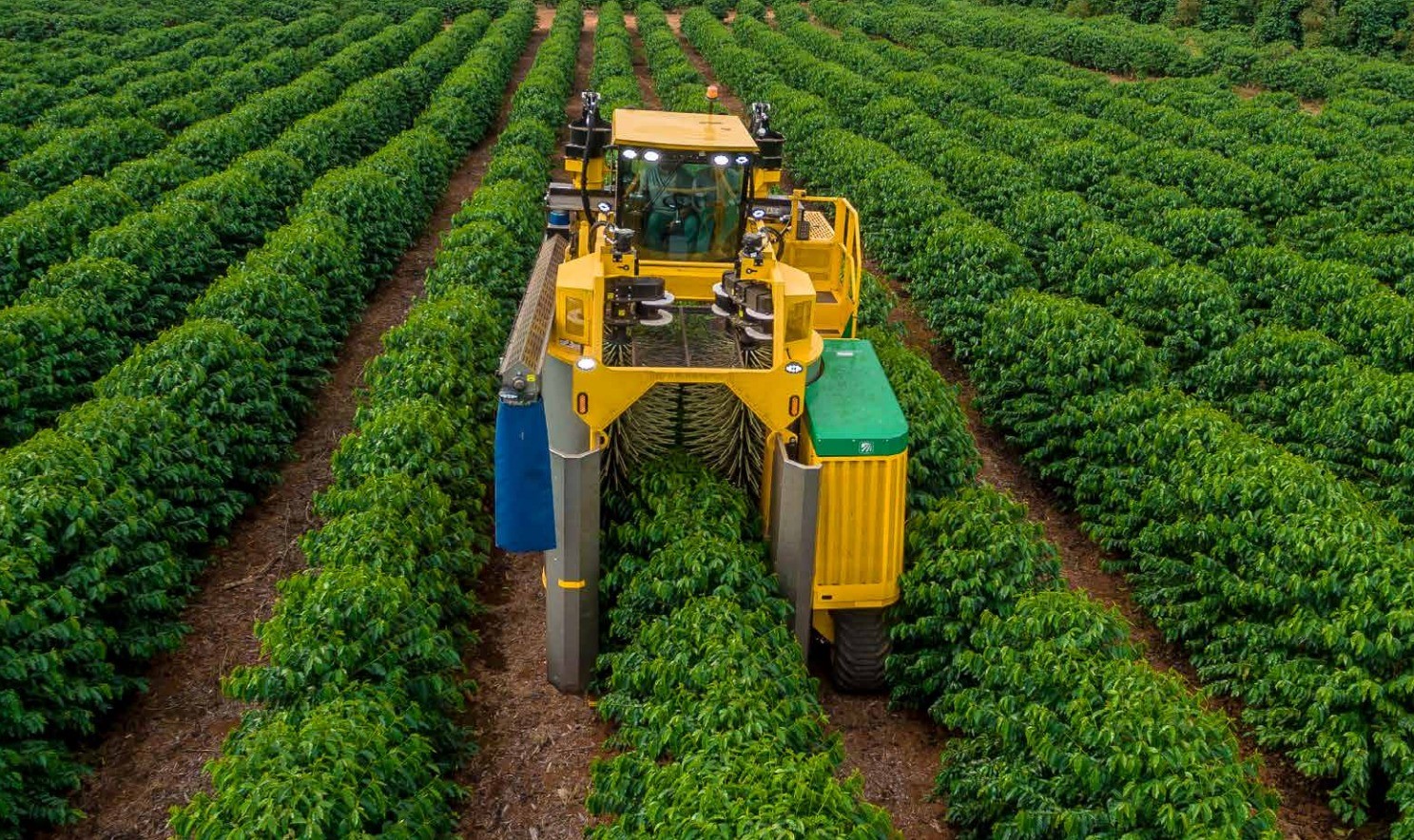 Oxbo updates coffee berry harvester - Profi